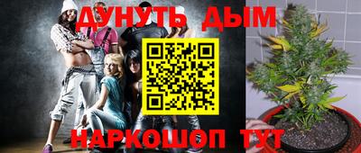 PSILOCYBIN Малоярославец