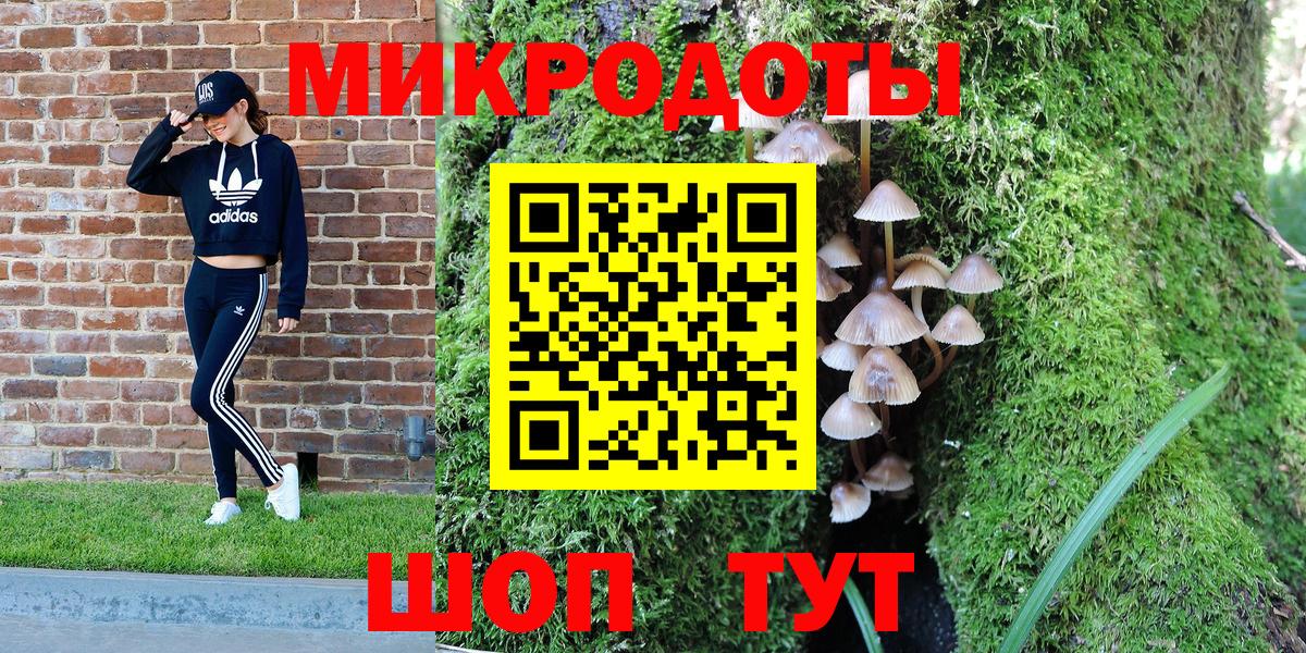 Галлюциногенные грибы прущие грибы  Галлюциногенные грибы Psilocybe  Вход с VPN  хочу   Киров 